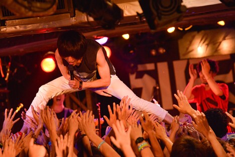 キュウソネコカミ（Photo by Kazumichi Kokei）