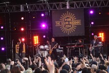 the HIATUS（撮影：三浦麻旅子）