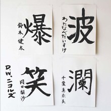 D.W.ニコルズ「波瀾爆笑」ジャケット