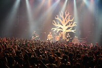 「the pillows 25th Anniversary NEVER ENDING STORY "DON'T FORGET TODAY!"」東京・TOKYO DOME CITY HALL公演の様子。 （撮影：橋本塁）