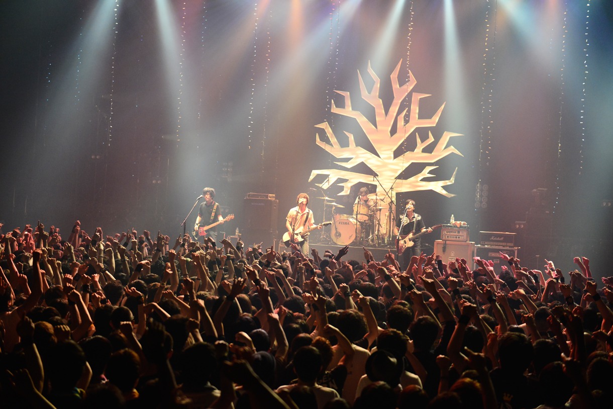 「the pillows 25th Anniversary NEVER ENDING STORY "DON'T FORGET TODAY!"」東京・TOKYO DOME CITY HALL公演の様子。 （撮影：橋本塁）