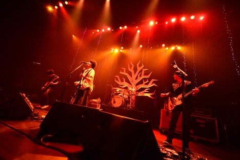 「the pillows 25th Anniversary NEVER ENDING STORY "DON'T FORGET TODAY!"」東京・TOKYO DOME CITY HALL公演の様子。 （撮影：橋本塁）