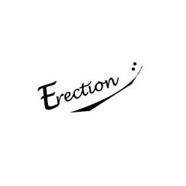 「Erection」ロゴ