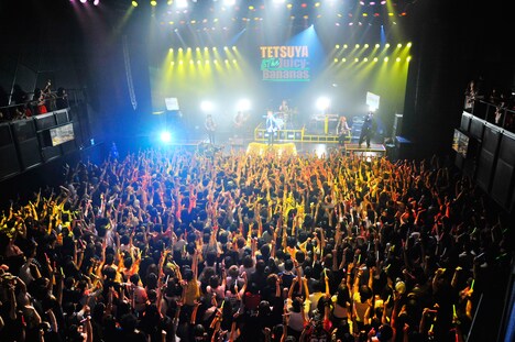 TETSUYA「TETSUYA LIVE 2014 "THANK YOU"」1st STAGEの模様。