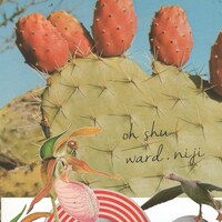 王舟「Ward / 虹」ジャケット