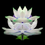 サカナクション「蓮の花 -movie version-」配信ジャケット
