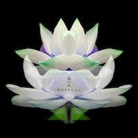 サカナクション「蓮の花 -movie version-」配信ジャケット