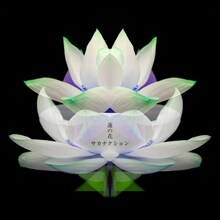 サカナクション「蓮の花 -movie version-」配信ジャケット