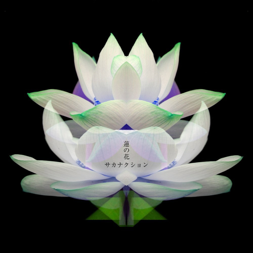 サカナクション「蓮の花 -movie version-」配信ジャケット