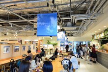 「乃木坂46 何度目の青空か？cafe in 丸の内」店内の様子。