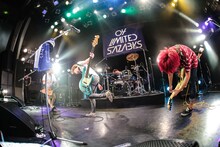 04 Limited Sazabys（撮影：白石達也）