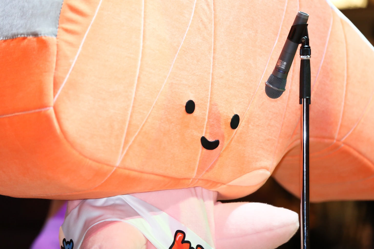 「きりみの歌～おいしく食べてね▽～」（※▽はハートマーク）を歌うKIRIMIちゃん.。