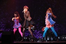 荻野目洋子「荻野目洋子 30th Aniniversary LIVE『ディア・ポップシンガー』」東京・赤坂BLITZ公演の様子