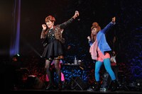 荻野目洋子「荻野目洋子 30th Aniniversary LIVE『ディア・ポップシンガー』」東京・赤坂BLITZ公演の様子