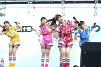 「第60回名古屋まつり」でパフォーマンスするチームしゃちほこ。