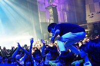 キュウソネコカミ