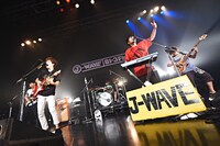 キュウソネコカミ