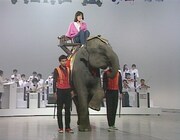 菊池桃子「30th anniversary 菊池桃子 in トップテン -日本テレビ秘蔵映像集-」のワンシーン。 (c) NTV