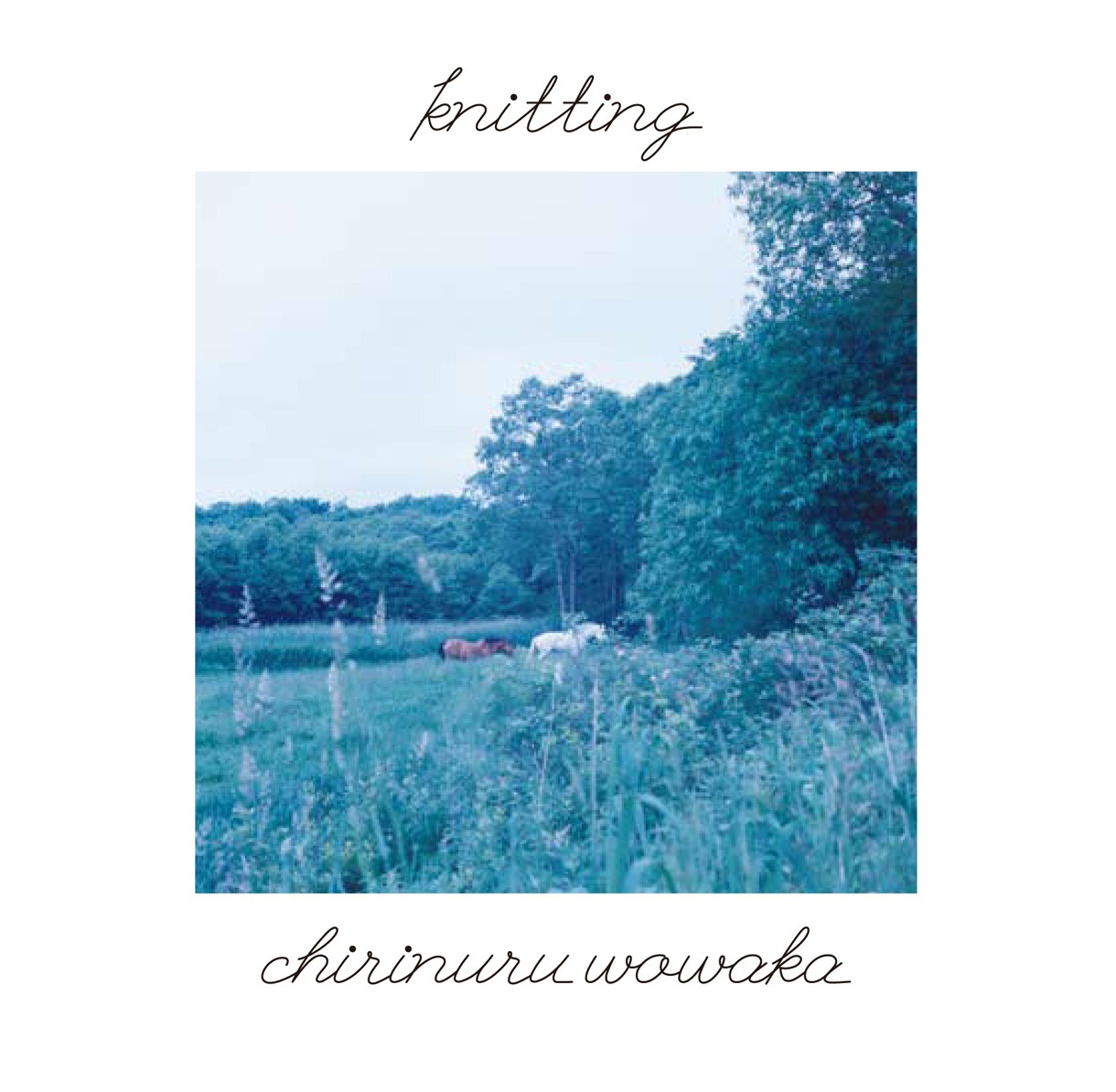 チリヌルヲワカ「knitting」ジャケット