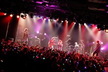 「カメレオワンマンツアー2014 ハイカメさんが通る」LIQUIDROOM公演の様子。（撮影：木村泰之）