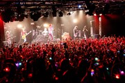 「カメレオワンマンツアー2014 ハイカメさんが通る」LIQUIDROOM公演の様子。（撮影：木村泰之）