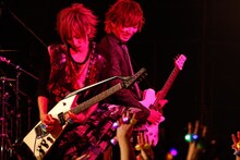 「カメレオワンマンツアー2014 ハイカメさんが通る」LIQUIDROOM公演の様子。（撮影：木村泰之）