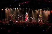 「カメレオワンマンツアー2014 ハイカメさんが通る」LIQUIDROOM公演の様子。（撮影：木村泰之）