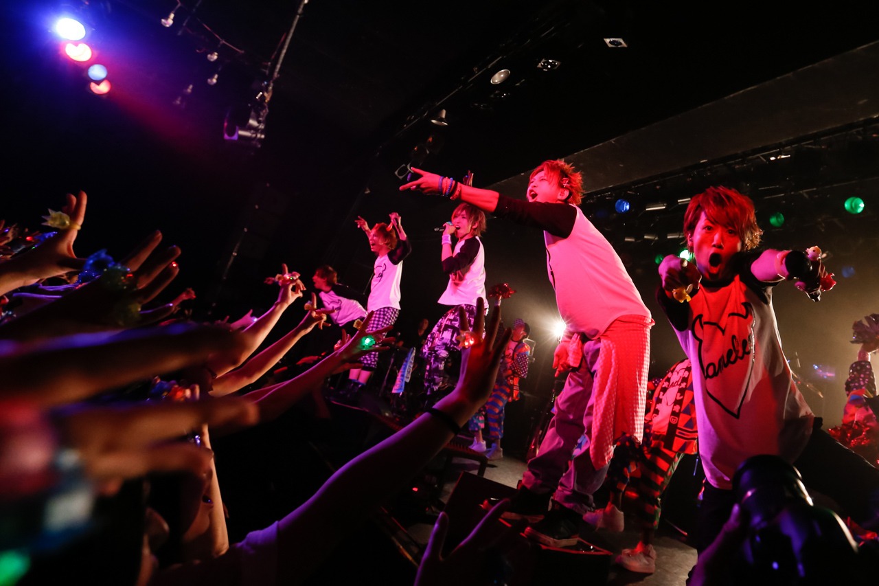 「カメレオワンマンツアー2014 ハイカメさんが通る」LIQUIDROOM公演の様子。（撮影：木村泰之）
