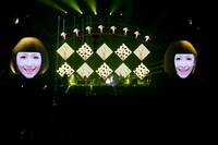 「KAELA presents GO!GO! KAELAND 2014～10years anniversary」Rockin' ZOO公演の様子。