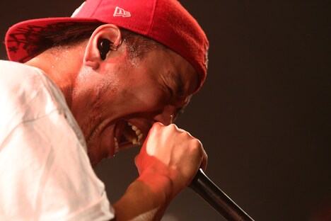 FACT（Photo by kohei suzuki）