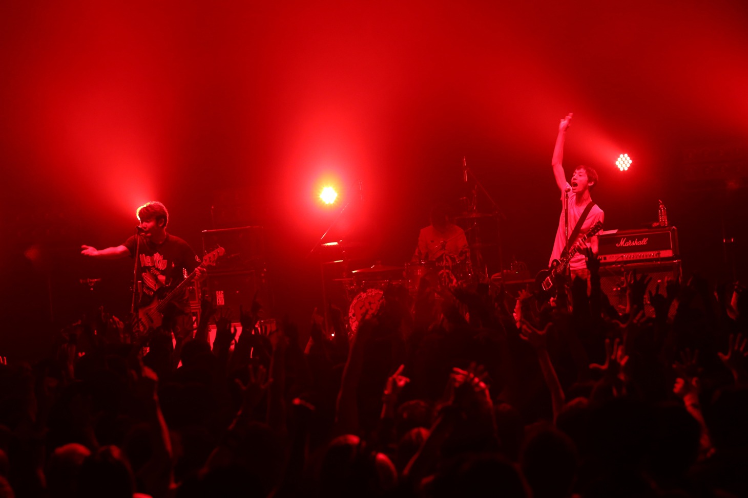 EGG BRAIN（Photo by kohei suzuki）