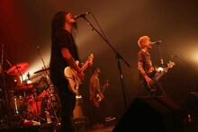 COUNTRY YARD（Photo by kohei suzuki）