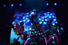 Negicco「Road of Negiiiiii ～Negicco One Man Show～ 2014 Autumn -Day One- ～Halloween～」の様子。