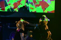 左からあゆみ、まき（あゆみくりかまき）