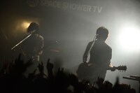 ストレイテナー