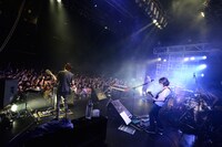 ストレイテナー