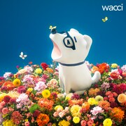 wacci「キラメキ」通常盤ジャケット