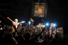 HOTSQUALL（撮影：半田安政[Showcase]）