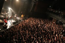 キュウソネコカミ「試練のTAIMANツアー～地方巡業編～」東京・TSUTAYA O-EAST公演の様子。（撮影：はいから）