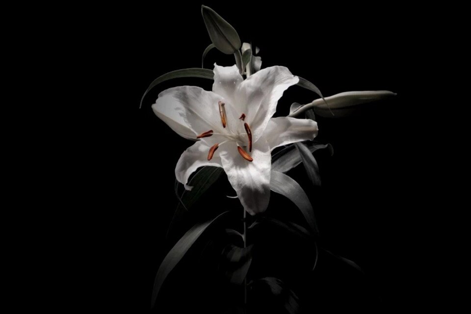 BOOM BOOM SATELLITES、2月にニューアルバム発表