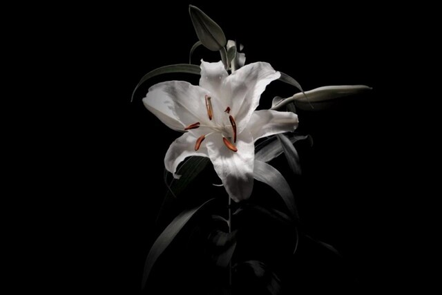 BOOM BOOM SATELLITESオフィシャルサイトのメインビジュアル。