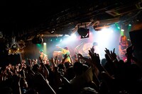 パスピエ「パスピエ TOUR 2014 "幕の外ISM"」下北沢GARAGE公演の様子。