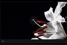 BOOM BOOM SATELLITES「Shine」ティザー映像のワンシーン。