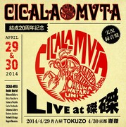 シカラムータ「CICALA-MVTA結成20周年記念 LIVE at 磔磔」ジャケット