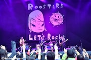 「FUJI ROCK FESTIVAL'14」でのTHE ROOSTERS。