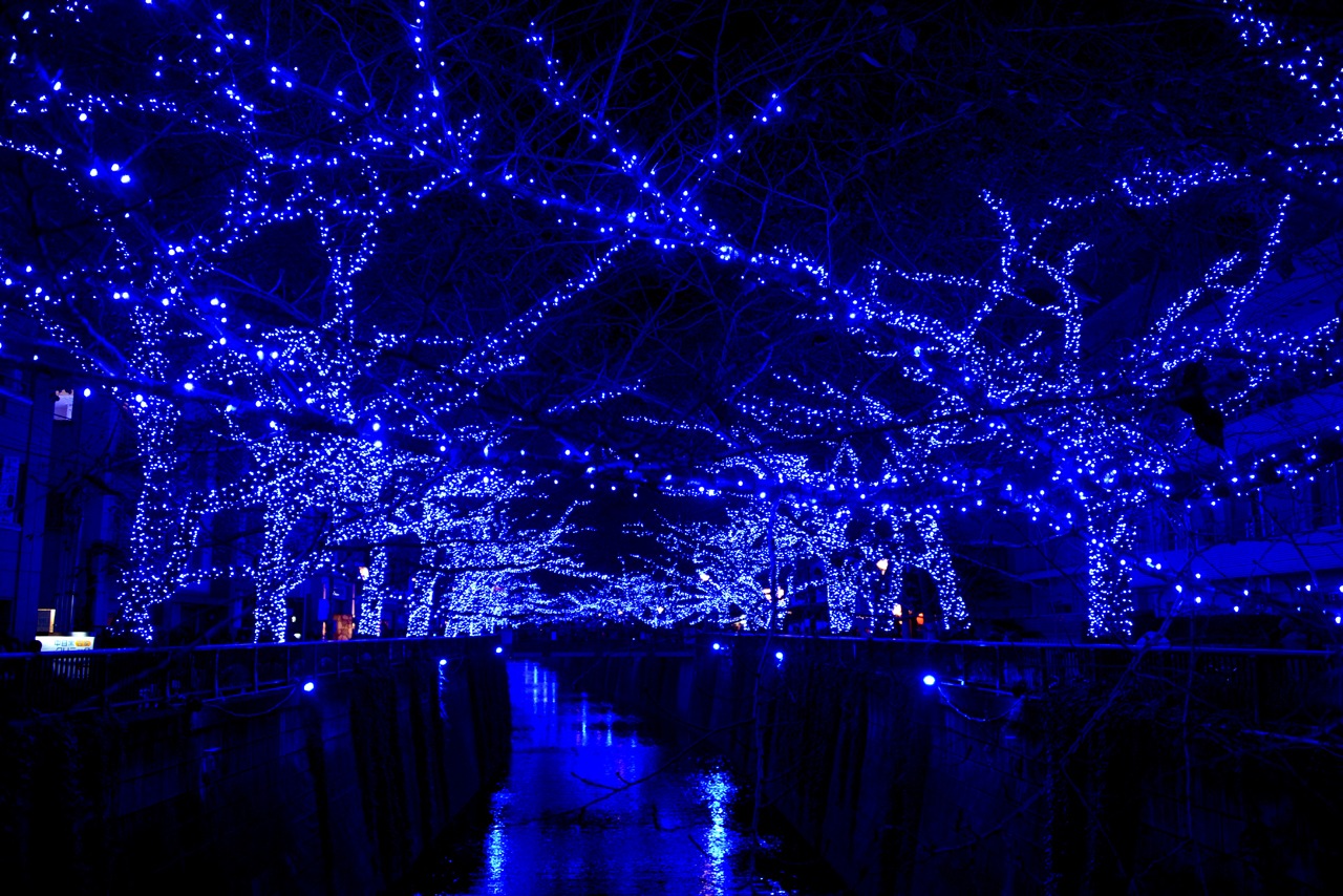 イルミネーション「Nakameguro 青の洞窟」に彩られた目黒川。