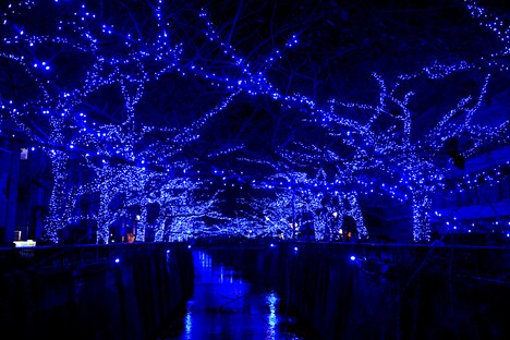 イルミネーション「Nakameguro 青の洞窟」に彩られた目黒川。