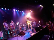 昨日11月24日に行われた「diffusy presents 片平里菜 2ndワンマンツアー2014 "amazing sky"」東京・LIQUIDROOM公演の様子（撮影：オノツトム）。