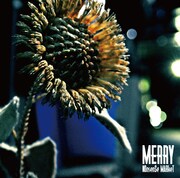 MERRY「NOnsenSe MARkeT」通常盤ジャケット