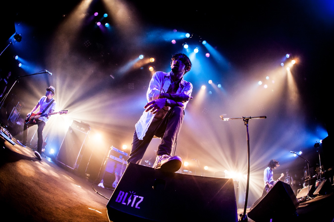 The BONEZ